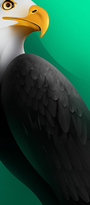 Stylized Bald Eagle Portrait with White Head and Yellow Beak on Green Background HD phone wallpaper
