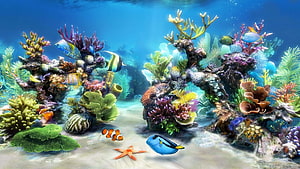 Vibrant Underwater Coral Reef Scene With Colorful Tropical Fish And Starfish HD wallpaper