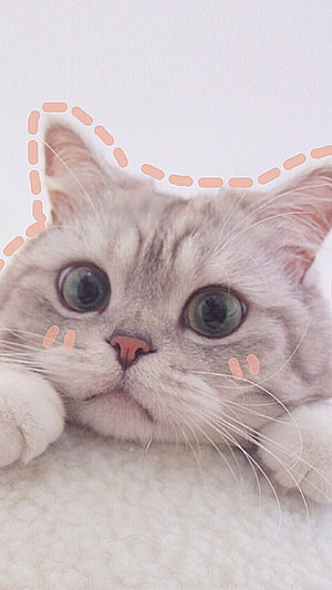 Cute Grey Tabby Cat With Big Eyes And Pink Doodle Ears HD phone wallpaper