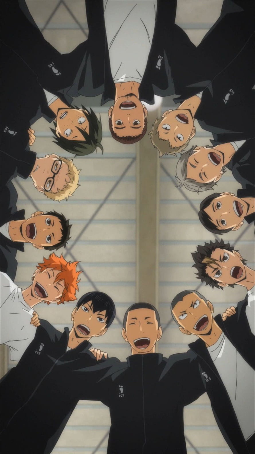 Haikyuu Karasuno High School Volleyball Team Group Portrait HD phone wallpaper