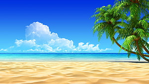 Tropical Beach Scene With Palm Trees And Turquoise Ocean Under Blue Sky HD wallpaper