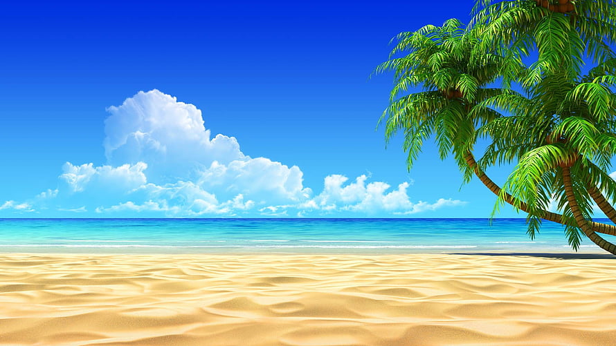 Tropical Beach Scene With Palm Trees And Turquoise Ocean Under Blue Sky HD wallpaper