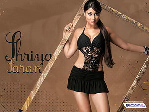 Shriya Saran in Black Mesh Outfit with Rustic Frame HD wallpaper