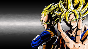 Super Saiyan Vegeta and Goku in Dragon Ball Z Anime Artwork HD wallpaper