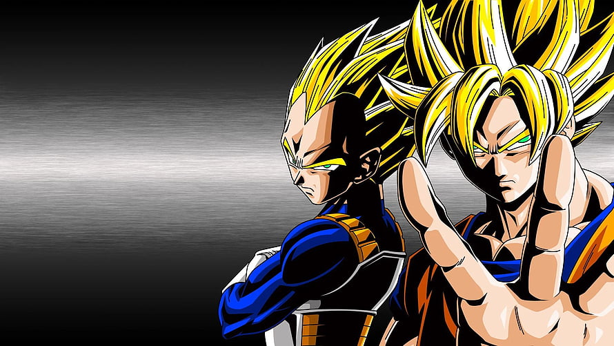 Super Saiyan Vegeta and Goku in Dragon Ball Z Anime Artwork HD wallpaper