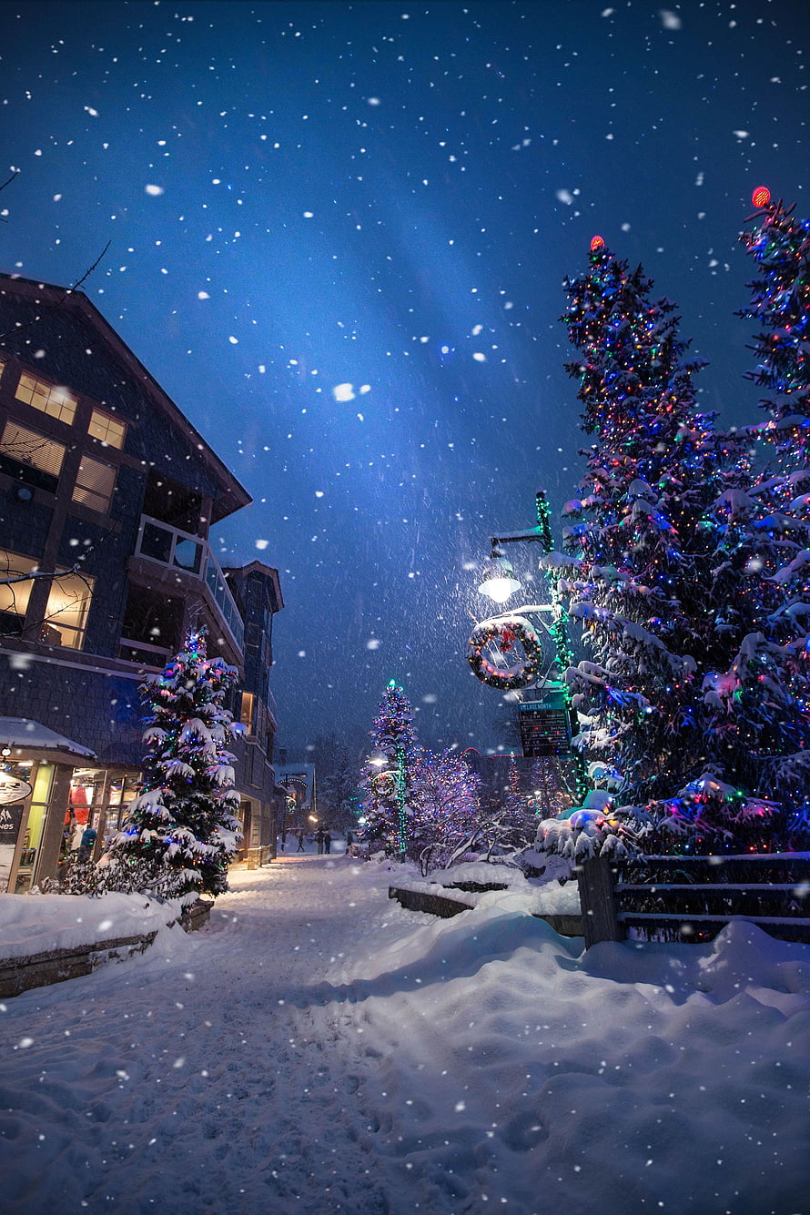 Magical Winter Night Street Scene with Snowy Christmas Trees and Festive Lights HD phone wallpaper