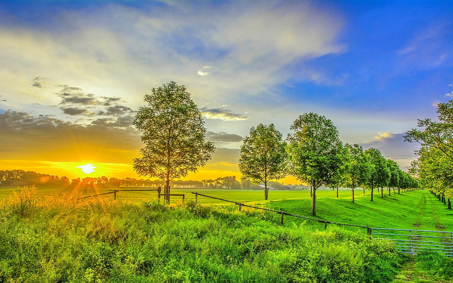 Serene Countryside Landscape with Lush Green Fields and Golden Sunset Sky HD wallpaper