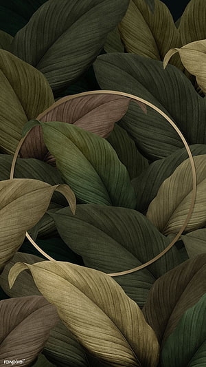Elegant Gold Circle Framing Lush Tropical Leaves in Muted Earth Tones HD phone wallpaper