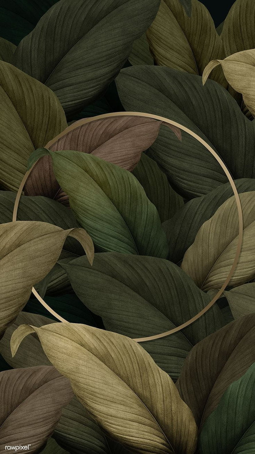 Elegant Gold Circle Framing Lush Tropical Leaves in Muted Earth Tones HD phone wallpaper