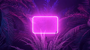 Vibrant Neon Rectangle Frame Glowing Among Tropical Palm Fronds in Purple and Pink Hues HD wallpaper
