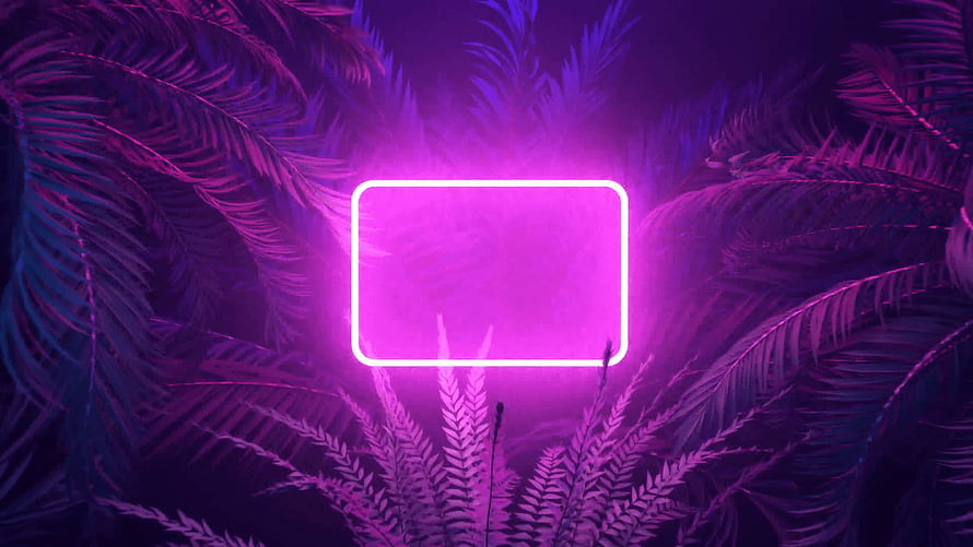 Vibrant Neon Rectangle Frame Glowing Among Tropical Palm Fronds in Purple and Pink Hues HD wallpaper