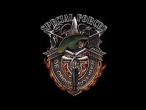 Special Forces Skull Emblem with Dagger and Green Beret HD wallpaper