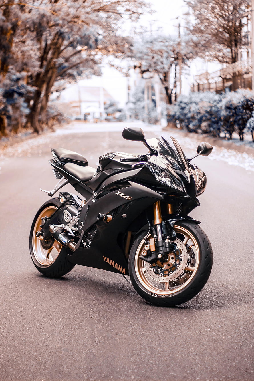 Black Yamaha R6 sport motorcycle parked on a quiet tree-lined street with gold wheels and fairing details HD phone wallpaper