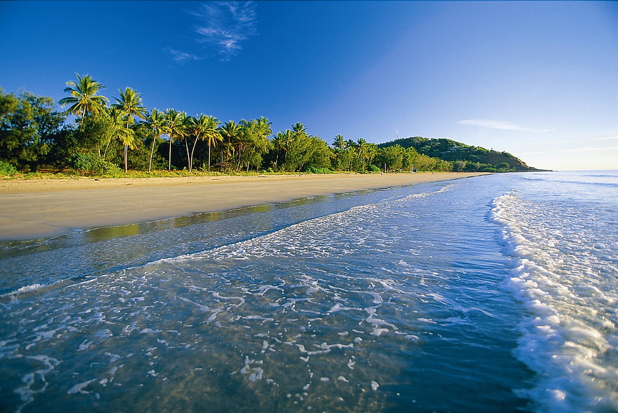 Serene tropical beach with palm trees and clear blue ocean waves HD wallpaper