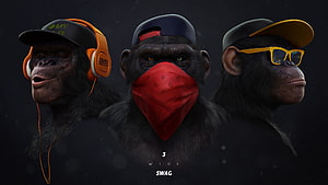Three Cool Hip Hop Chimpanzees With Headphones, Bandana, And Sunglasses HD wallpaper