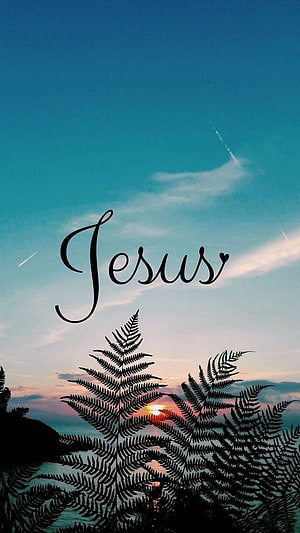 Jesus Name Typography Over Sunset Sky With Fern Silhouettes HD phone wallpaper
