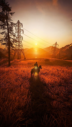 The Last of Us Part II Silhouette Rider at Golden Sunset with Power Lines and Mountains HD phone wallpaper