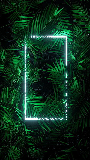 Neon Green Jungle Palm Leaves With Glowing White Rectangle Frame HD phone wallpaper
