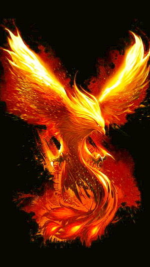 Majestic Phoenix Rising in Flames Fantasy Art Wallpaper HD phone wallpaper