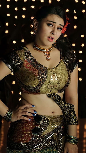 Woman in Traditional Gold and Black Embroidered Saree with Jewelry and Bokeh Lights, Hansika Motwani, telugu actress HD phone wallpaper