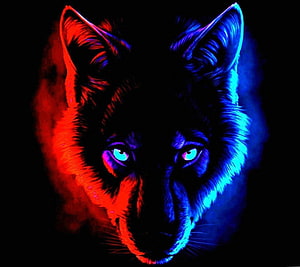 Neon Red and Blue Wolf Portrait with Glowing Eyes on Black Background HD wallpaper