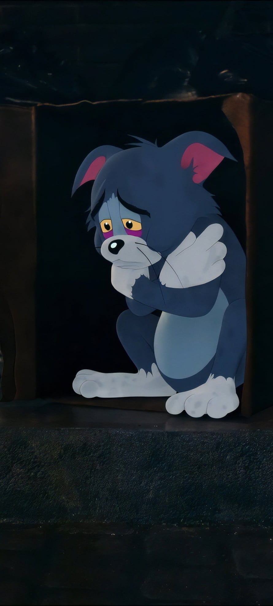 Sad Tom Cat Crying in Dark Corner from Tom and Jerry Animated Series HD phone wallpaper
