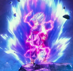 Vegeta Ultra Ego Form Dragon Ball Super Anime Wallpaper HD wallpaper