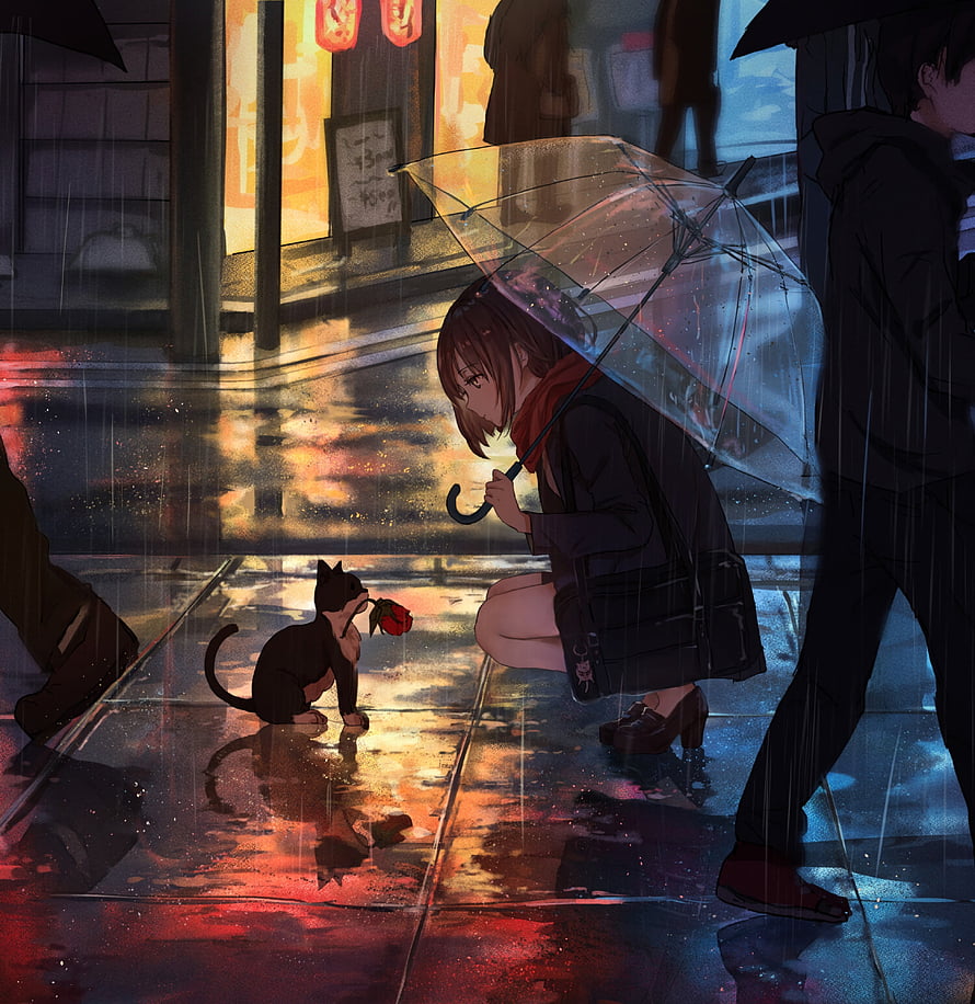 Anime Girl With Umbrella Crouching To Black Cat Holding Red Rose In Rainy City Street HD phone wallpaper