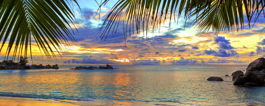 Tropical Beach Sunset Framed by Palm Fronds Over Calm Ocean Waters HD wallpaper