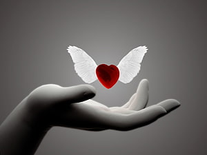 Valentine's Day Concept: Red Heart with Angel Wings Floating Above an Open Hand HD wallpaper