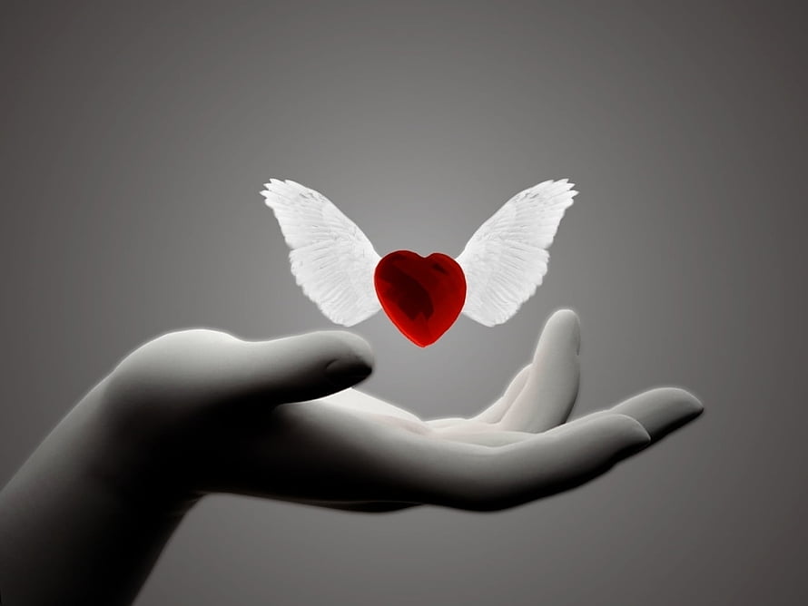 Valentine's Day Concept: Red Heart with Angel Wings Floating Above an Open Hand HD wallpaper