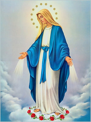 Our Lady of Fatima Religious Art with Blue Mantle, Golden Halo, and Red Roses, Virgen de la Milagrosa, virgen2 HD phone wallpaper