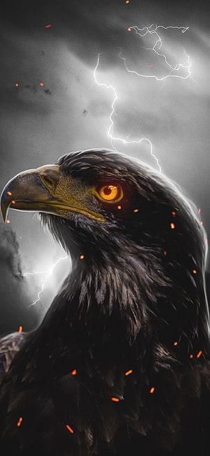 Majestic Eagle Portrait With Glowing Amber Eyes And Dramatic Lightning Storm HD phone wallpaper