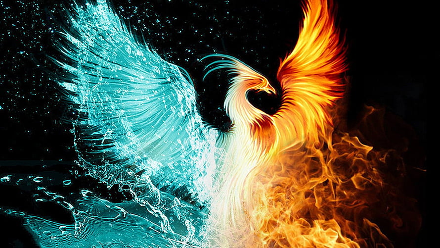 Mystical Phoenix Bird With Fire And Water Wings Against Dark Starry Background HD wallpaper