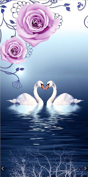 Two Swans Forming a Heart Shape on Calm Water with Pink Roses and Floral Decor HD phone wallpaper