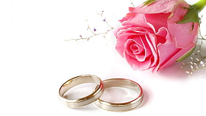 Elegant Wedding Rings and Pink Rose on White Background HD wallpaper