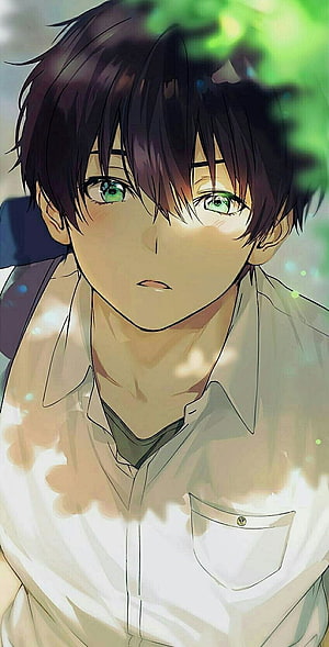 Anime Boy With Green Eyes And Dark Hair In White Shirt Under Dappled Sunlight HD phone wallpaper