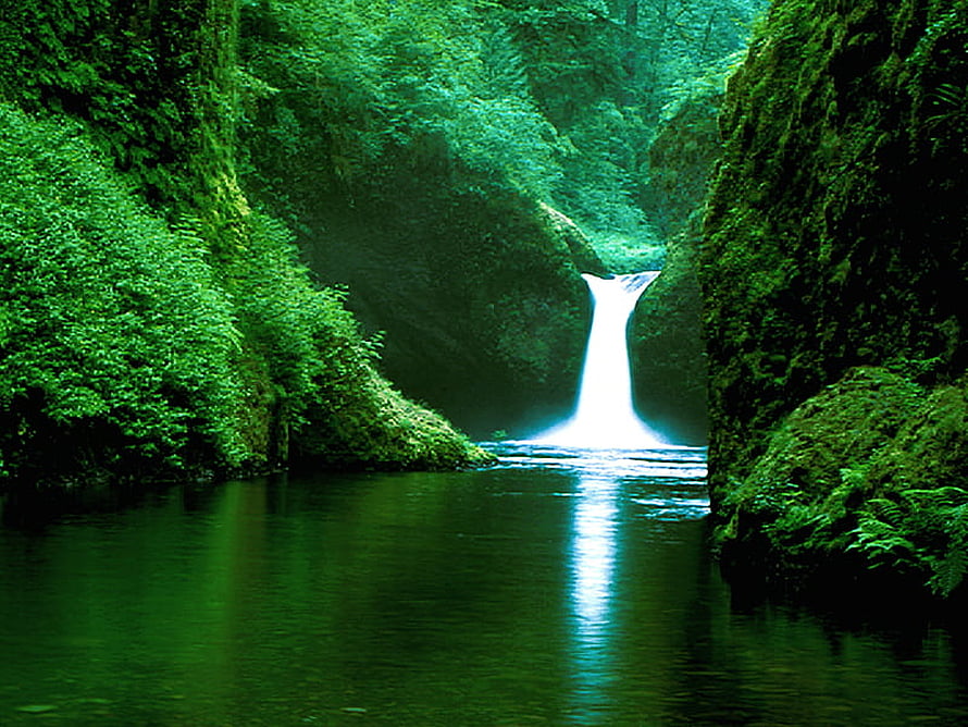Serene forest waterfall cascading into a calm pool surrounded by lush greenery HD wallpaper