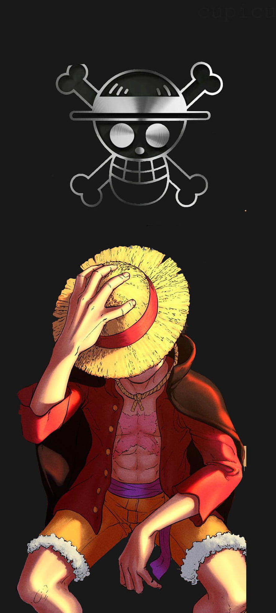 Monkey D. Luffy Holding Straw Hat With Jolly Roger Logo Anime Wallpaper HD phone wallpaper