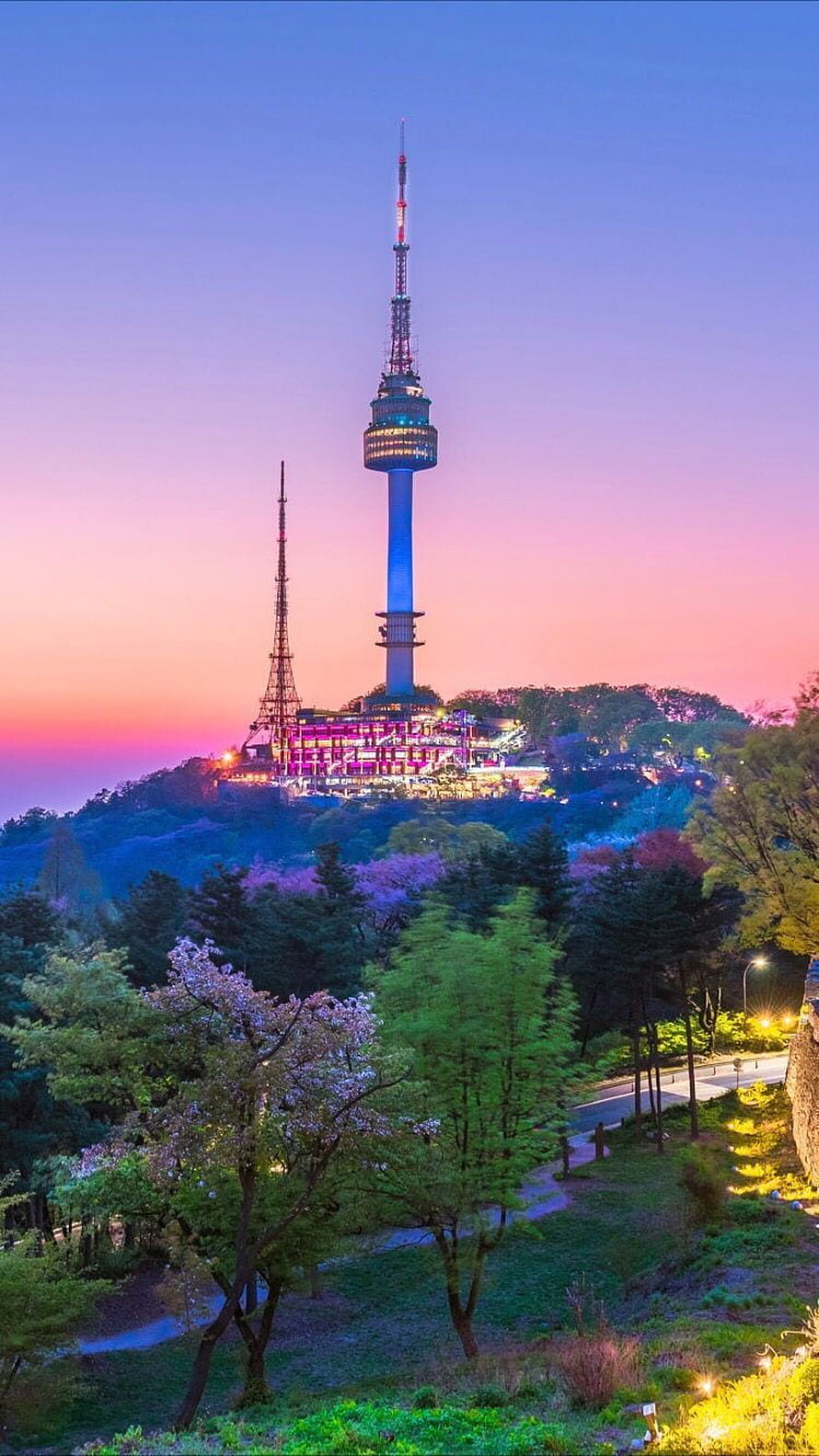 Namsan Tower Seoul at Dusk with Cherry Blossoms and Vibrant Skyline HD phone wallpaper