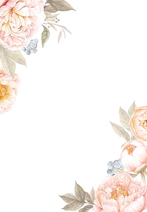 Soft Pink Peony Floral Watercolor Border Illustration HD phone wallpaper