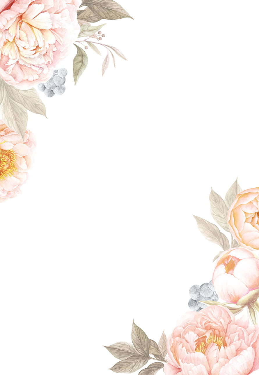 Soft Pink Peony Floral Watercolor Border Illustration HD phone wallpaper