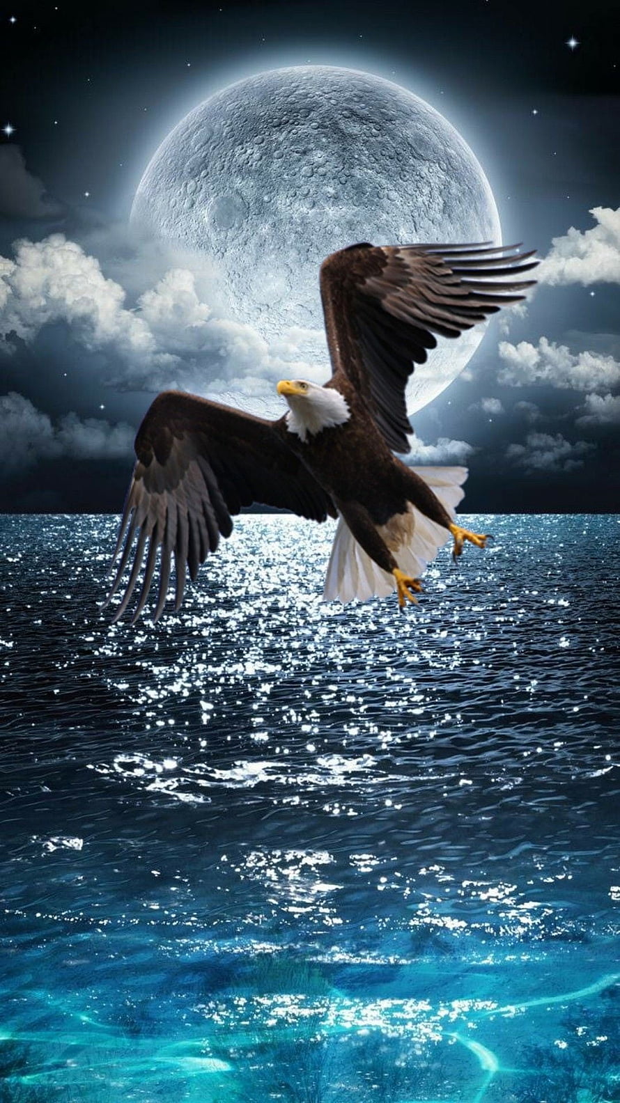 Bald Eagle Soaring Over Moonlit Ocean With Full Moon And Clouds HD phone wallpaper
