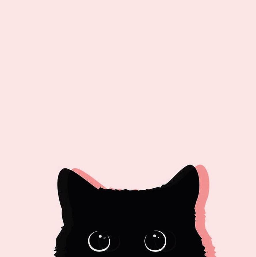 Minimalist Black Cat Peeking Over Edge With Soft Pink Background HD phone wallpaper