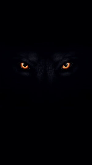 Mysterious Glowing Orange Eyes Peering From Deep Darkness HD phone wallpaper