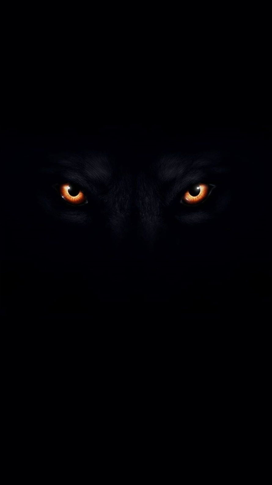Mysterious Glowing Orange Eyes Peering From Deep Darkness HD phone wallpaper