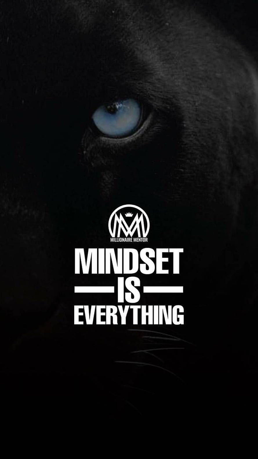 Black Panther Eye Close-Up With Millionaire Mentor Mindset Is Everything Quote HD phone wallpaper