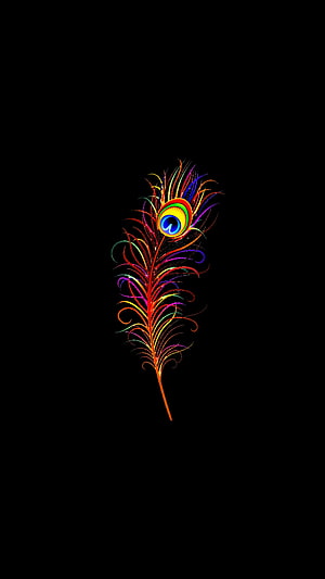 Vibrant Rainbow Peacock Feather Art on Black Background HD phone wallpaper
