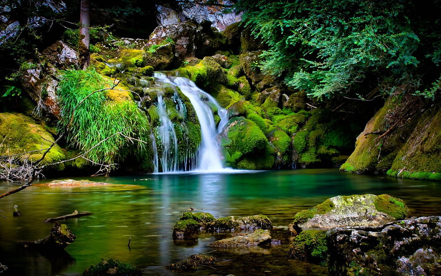 Mossy Forest Waterfall Pouring Into a Turquoise Pool Surrounded by Lush Greenery HD wallpaper