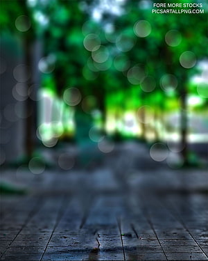 Blurred Green Forest Path With Bokeh Lights On Wet Wooden Deck HD phone wallpaper